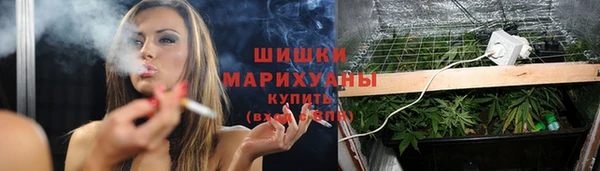 Альфа ПВП Богородицк