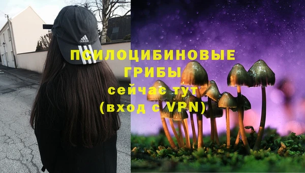 герыч Богородск