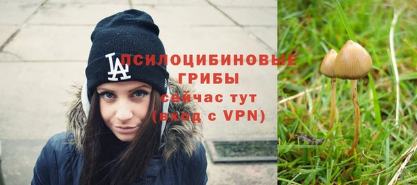 прущая мука Пестово